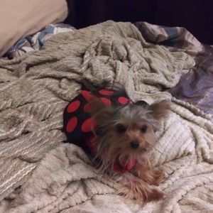 Meet your Posher, Brenda